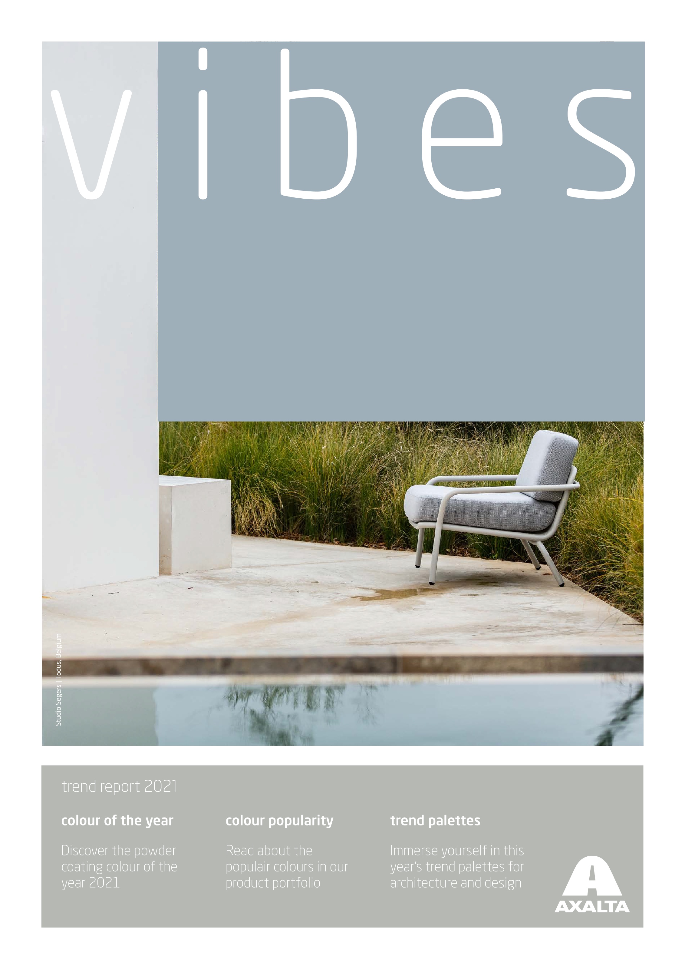 vibes_2021_EN_flipbook